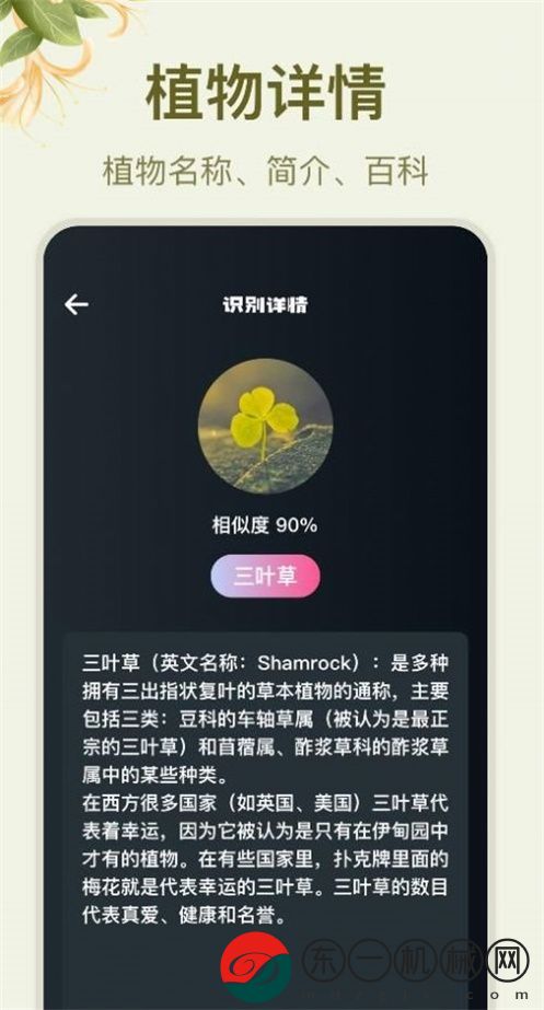 拍照識花大師app