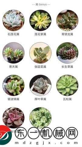 多肉植物陪護(hù)記app