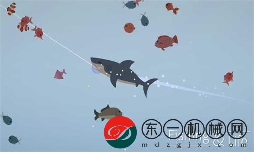 釣魚人生深海鯨鯊在哪里釣