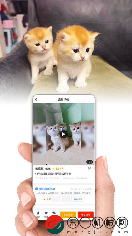 集咪舍app