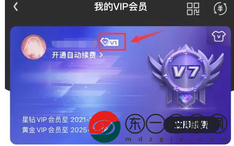 愛奇藝會(huì)員v7免費(fèi)升星鉆怎么操作