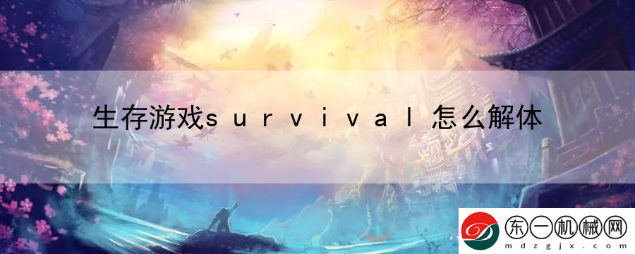 生存游戲survival怎么解體